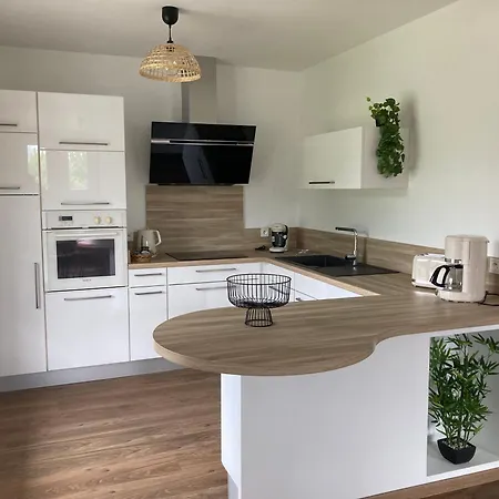 Le Pic Du Ger لارونس